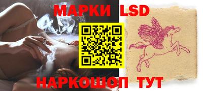 индика Заволжье