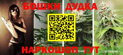 индика Заволжье