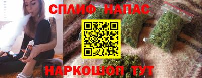 индика Заволжье